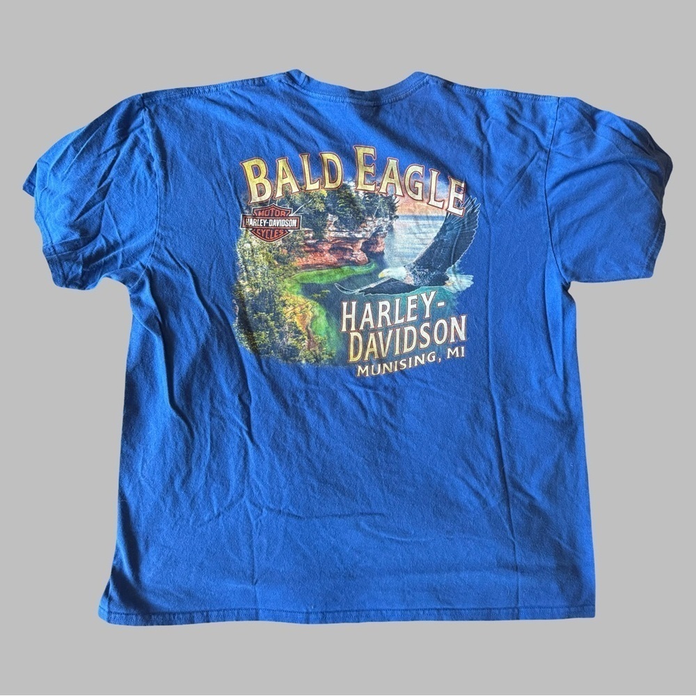 HARLEY DAVIDSON Men’s Vintage Bald Eagle Tee